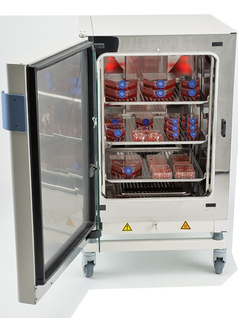 Forma Steri-Cycle open with cell culture flasks