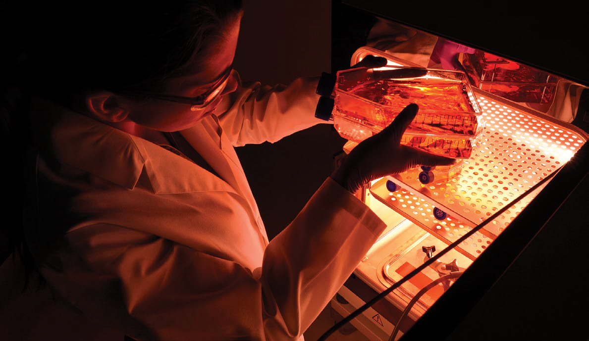 Scientist working in lab with incubator