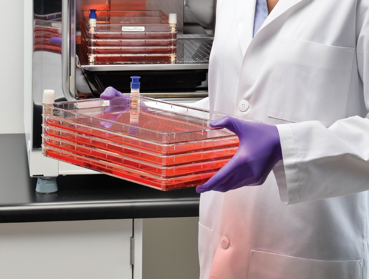 Scientist with cell culture flasks in front of i160