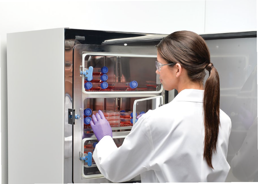 Scientist loading samples into Forma Steri-Cycle