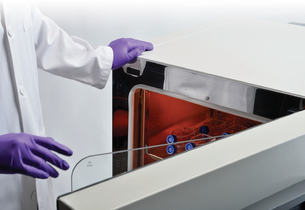 Scientist loading incubator